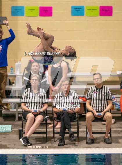 Thumbnail 1 in CHSAA 5A Girls Diving - State Championship photogallery.