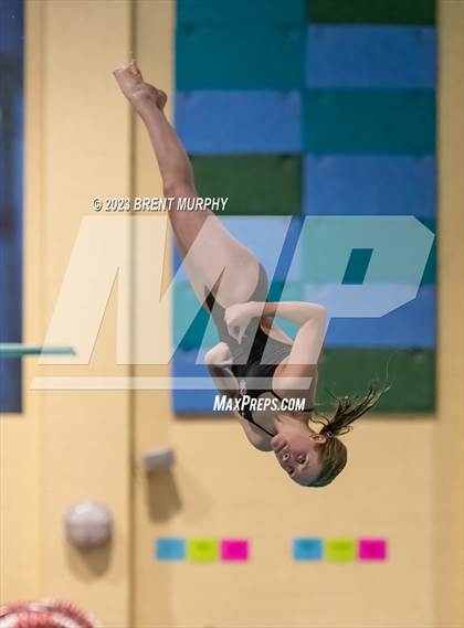 Thumbnail 1 in CHSAA 5A Girls Diving - State Championship photogallery.