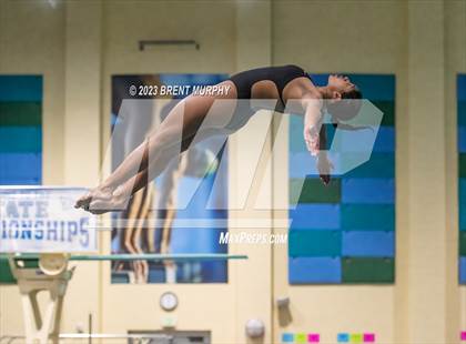 Thumbnail 3 in CHSAA 5A Girls Diving - State Championship photogallery.