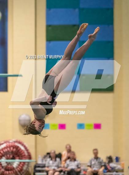 Thumbnail 1 in CHSAA 5A Girls Diving - State Championship photogallery.