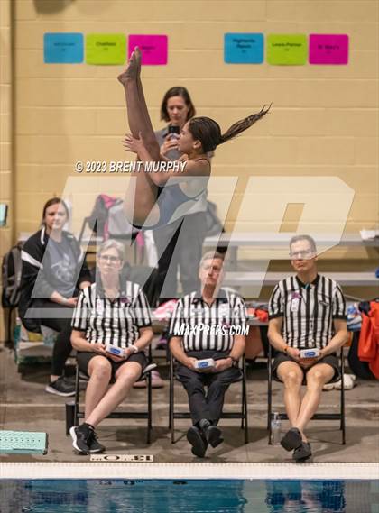 Thumbnail 3 in CHSAA 5A Girls Diving - State Championship photogallery.