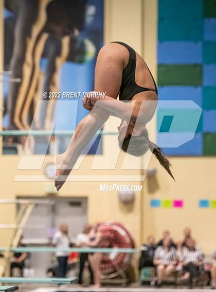 Thumbnail 1 in CHSAA 5A Girls Diving - State Championship photogallery.