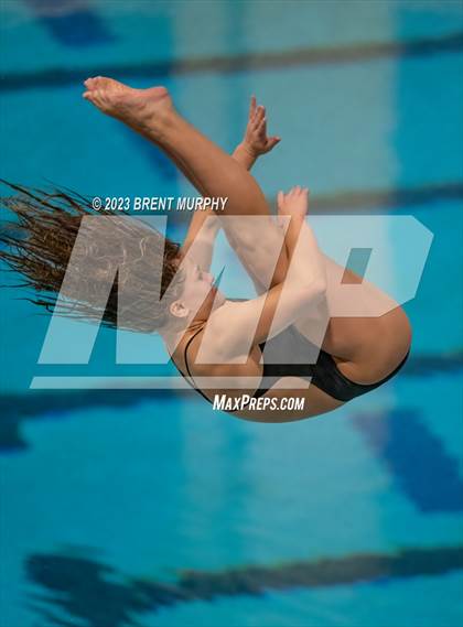 Thumbnail 1 in CHSAA 5A Girls Diving - State Championship photogallery.