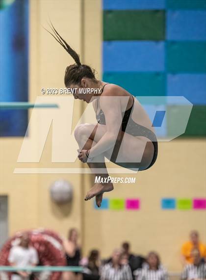 Thumbnail 1 in CHSAA 5A Girls Diving - State Championship photogallery.
