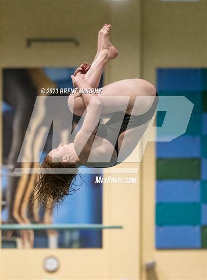 Thumbnail 1 in CHSAA 5A Girls Diving - State Championship photogallery.