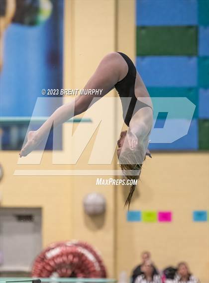 Thumbnail 3 in CHSAA 5A Girls Diving - State Championship photogallery.