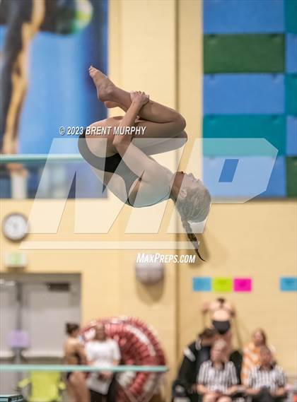 Thumbnail 1 in CHSAA 5A Girls Diving - State Championship photogallery.