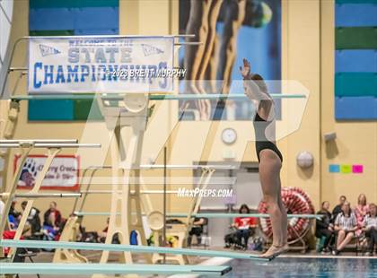 Thumbnail 1 in CHSAA 5A Girls Diving - State Championship photogallery.