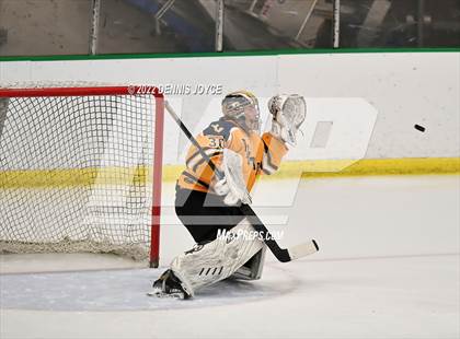 Thumbnail 1 in Victor vs. Penfield (NYSPHAA Section 5 Class A Final) photogallery.