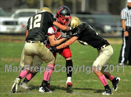 Thumbnail 3 in Jacksonville @ Sacred Heart-Griffin (IHSA Class 5A  1st Round) photogallery.