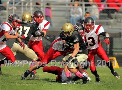 Thumbnail 3 in Jacksonville @ Sacred Heart-Griffin (IHSA Class 5A  1st Round) photogallery.