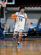Photo from the gallery "Timnath vs. Coal Ridge (CHSAA 4A Great 8)"