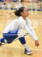 Photo from the gallery "Wood @ River City"