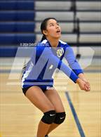 Photo from the gallery "Wood @ River City"