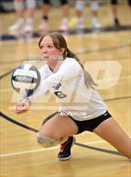 Photo from the gallery "Wood @ River City"