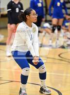 Photo from the gallery "Wood @ River City"