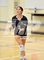 Photo from the gallery "Wood @ River City"