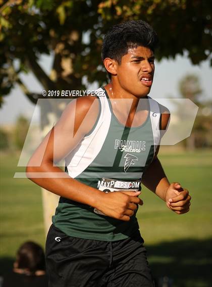 Thumbnail 1 in Golden League Meet #1 photogallery.