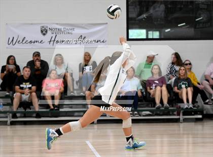 Thumbnail 3 in Girls Prep @ Notre Dame photogallery.