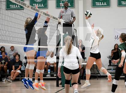Thumbnail 3 in Girls Prep @ Notre Dame photogallery.