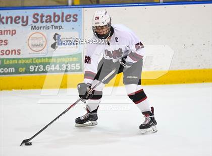 Thumbnail 3 in Parsippany Regional @ Park Regional [Hanover Park/Whippany Park] (HAAS Cup Quarterfinal) photogallery.