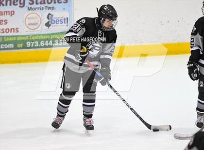 Thumbnail 1 in Parsippany Regional @ Park Regional [Hanover Park/Whippany Park] (HAAS Cup Quarterfinal) photogallery.