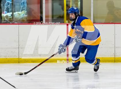 Thumbnail 1 in Warren Township vs D211 Chiefs (Gray) photogallery.