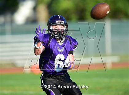 Thumbnail 1 in Lewis Mills @ North Branford photogallery.
