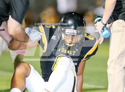 Thumbnail 2 in Lovejoy @ Forney photogallery.
