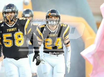 Thumbnail 3 in Lovejoy @ Forney photogallery.