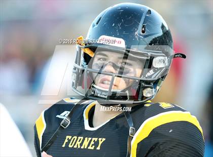 Thumbnail 3 in Lovejoy @ Forney photogallery.