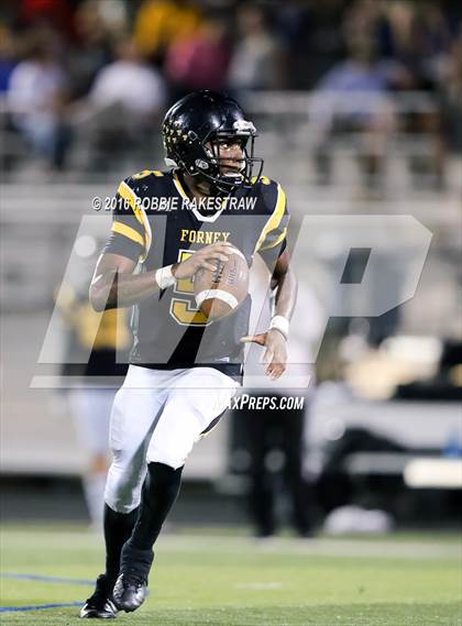 Thumbnail 3 in Lovejoy @ Forney photogallery.