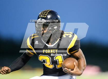 Thumbnail 3 in Lovejoy @ Forney photogallery.