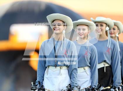 Thumbnail 2 in Lovejoy @ Forney photogallery.