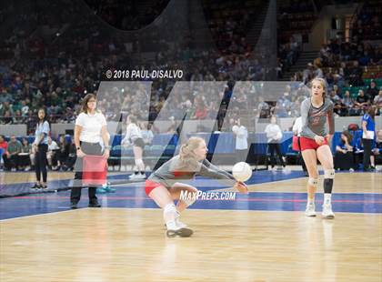 Thumbnail 1 in Lutheran vs. Eaton (CHSAA 3A First Round) photogallery.