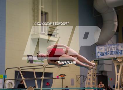 Thumbnail 2 in 3A Dive Championship photogallery.
