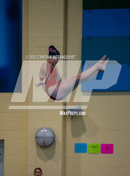 Thumbnail 3 in 3A Dive Championship photogallery.