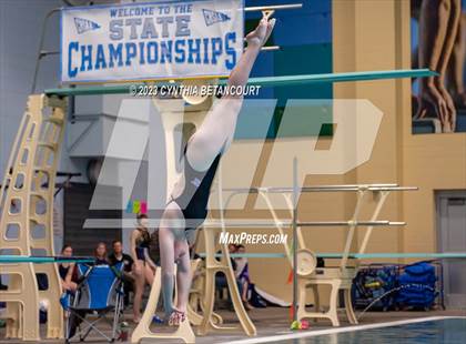Thumbnail 3 in 3A Dive Championship photogallery.