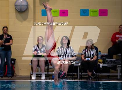 Thumbnail 2 in 3A Dive Championship photogallery.