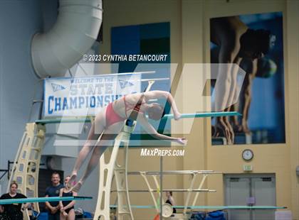 Thumbnail 2 in 3A Dive Championship photogallery.
