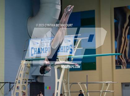 Thumbnail 3 in 3A Dive Championship photogallery.