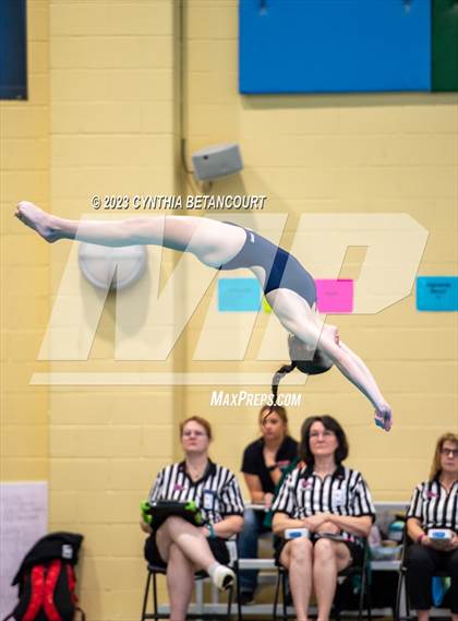 Thumbnail 1 in 3A Dive Championship photogallery.
