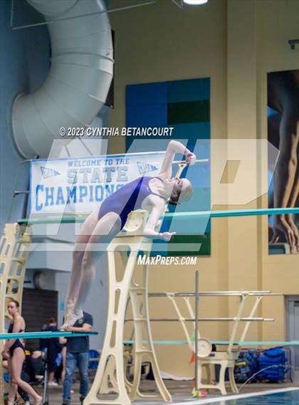 Thumbnail 2 in 3A Dive Championship photogallery.