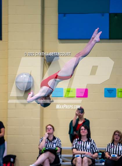 Thumbnail 1 in 3A Dive Championship photogallery.