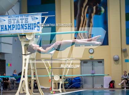Thumbnail 2 in 3A Dive Championship photogallery.