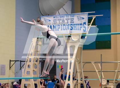 Thumbnail 1 in 3A Dive Championship photogallery.
