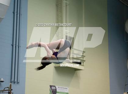 Thumbnail 1 in 3A Dive Championship photogallery.