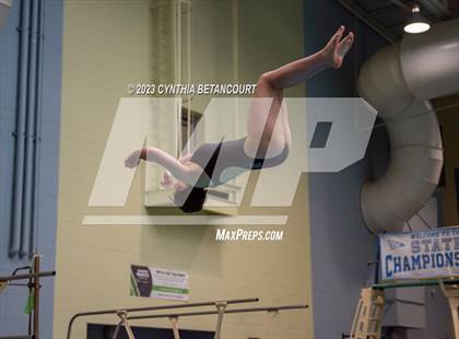 Thumbnail 3 in 3A Dive Championship photogallery.