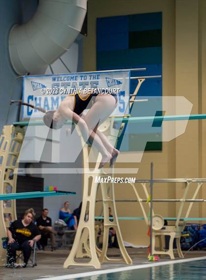 Thumbnail 1 in 3A Dive Championship photogallery.
