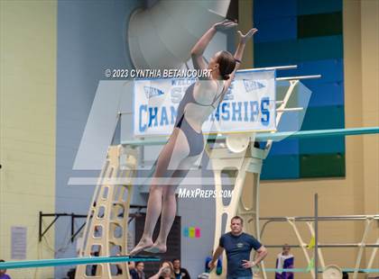 Thumbnail 1 in 3A Dive Championship photogallery.